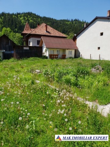 teren-480-mp-inravilan-rucar-4