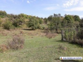 teren-intravilan-de-vanzare-2310-mp-in-valea-romanestilor-campulung-muscel-arges-ideal-pentru-constructii-rezidentiale