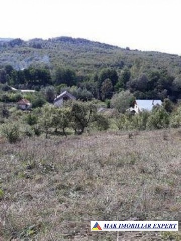 teren-intravilan-de-vanzare-2310-mp-in-valea-romanestilor-campulung-muscel-arges-ideal-pentru-constructii-rezidentiale-1