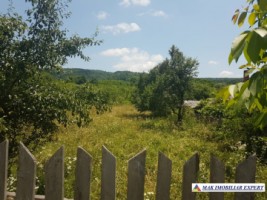 teren-300-mp-intravilan-stalpeni