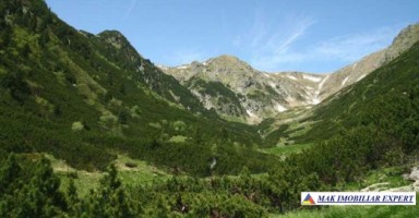vandut-5