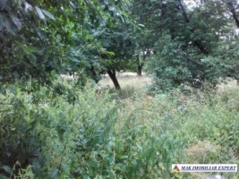 teren-2206-mp-intravilan-leresti-3