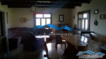 lux-imobiliare-vinde-casa-stil-vechi-zona-apa-45000euro-1