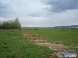 teren-pentru-constructie-bloc-12-ha-15000000-euro