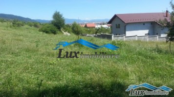 teren-pentru-casa-independentei-25-50-ari-2000-eur-o-arul-1