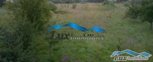 lux-imobiliare-vinde-casa-11-hectare-teren-victoriei-zona-pronto-775000-euro-1