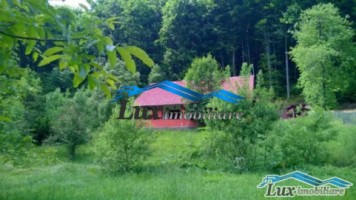 lux-imobiliare-vinde-casa-blidari-45000-euro