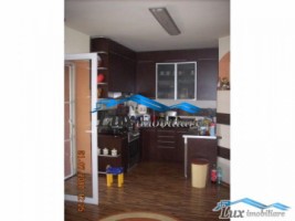 lux-imobiliare-vinde-casa-cu-piscina-sighetu-marmatiei-300000-euro-5