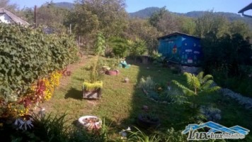 lux-imobiliare-vinde-casa-zona-sasar-110000-euro-4