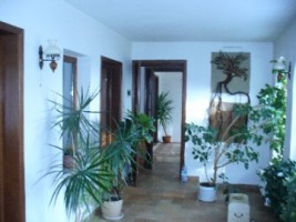 vila-5-camere-zona-iuliu-maniu