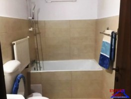 inchiriez-apartament-2-camere-decomandatrenovatzona-milea-6