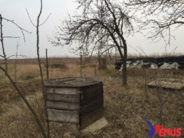 teren-agricol-de-vanzare-in-satu-mare-carei-3