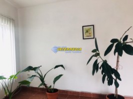 spatiu-birouri-de-inchiriat-zona-cetate-50-mp-4