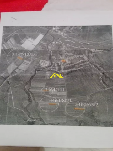 teren-intravilanextravilan-8902-mpalba-iulia-oarda