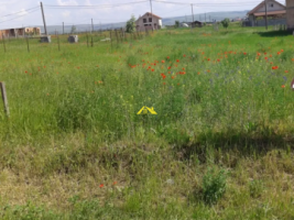 parcela-orizont-lux-345mp