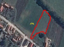 teren-intravilan-2300-mp-in-vintu-de-jos-sat-vurpar
