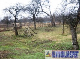 casa-4-camere-teren-9807-mp-berevoiesti-arges-14