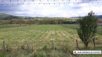 teren-de-1-hectar-in-apa-sarata-campulung-muscel-perfect-pentru-dezvoltare-rezidentiala-sau-comerciala