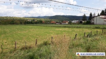 teren-de-1-hectar-in-apa-sarata-campulung-muscel-perfect-pentru-dezvoltare-rezidentiala-sau-comerciala-3