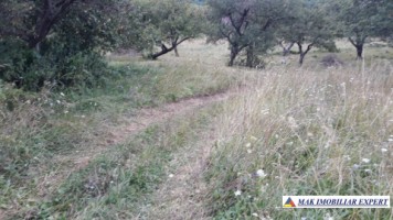 teren-1-ha-livada-campulung-1