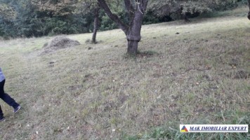 teren-1-ha-livada-campulung-4