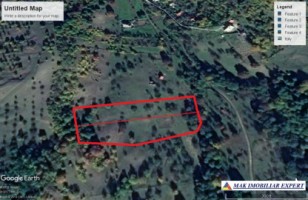 teren-1-ha-livada-campulung-6
