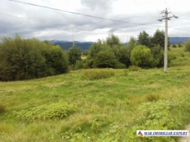 teren-de-vanzare-8000-mp-extravilan-in-cretisoara-campulung-muscel-arges-2