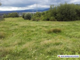 teren-de-vanzare-8000-mp-extravilan-in-cretisoara-campulung-muscel-arges-4