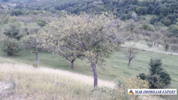 vand-teren-intravilan-5000-mp-flamanda-campulung-muscel-arges-cu-livada-si-vedere-panoramica-2
