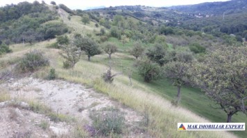 vand-teren-intravilan-5000-mp-flamanda-campulung-muscel-arges-cu-livada-si-vedere-panoramica-3