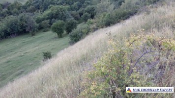 vand-teren-intravilan-5000-mp-flamanda-campulung-muscel-arges-cu-livada-si-vedere-panoramica-5