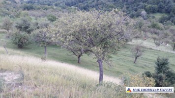 vand-teren-intravilan-5000-mp-flamanda-campulung-muscel-arges-cu-livada-si-vedere-panoramica-4