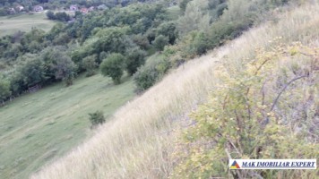 vand-teren-intravilan-5000-mp-flamanda-campulung-muscel-arges-cu-livada-si-vedere-panoramica-6