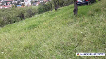 vand-teren-intravilan-5000-mp-flamanda-campulung-muscel-arges-cu-livada-si-vedere-panoramica-8