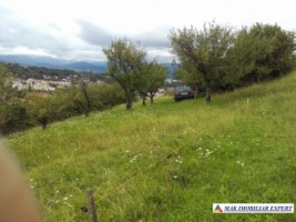 vand-teren-intravilan-5000-mp-flamanda-campulung-muscel-arges-cu-livada-si-vedere-panoramica-9