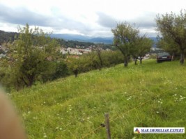 vand-teren-intravilan-5000-mp-flamanda-campulung-muscel-arges-cu-livada-si-vedere-panoramica-11