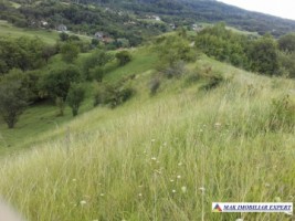 vand-teren-intravilan-5000-mp-flamanda-campulung-muscel-arges-cu-livada-si-vedere-panoramica-12