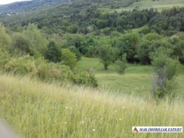 vand-teren-intravilan-5000-mp-flamanda-campulung-muscel-arges-cu-livada-si-vedere-panoramica-13