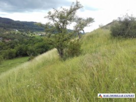 vand-teren-intravilan-5000-mp-flamanda-campulung-muscel-arges-cu-livada-si-vedere-panoramica-14
