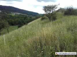 vand-teren-intravilan-5000-mp-flamanda-campulung-muscel-arges-cu-livada-si-vedere-panoramica-15