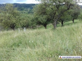 vand-teren-intravilan-5000-mp-flamanda-campulung-muscel-arges-cu-livada-si-vedere-panoramica-18