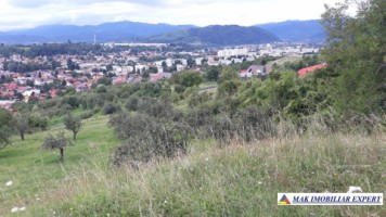 vand-teren-intravilan-5000-mp-flamanda-campulung-muscel-arges-ideal-pentru-dezvoltare-rezidentiala-sau-turistica-1
