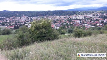 vand-teren-intravilan-5000-mp-flamanda-campulung-muscel-arges-ideal-pentru-dezvoltare-rezidentiala-sau-turistica-3
