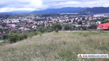 vand-teren-intravilan-5000-mp-flamanda-campulung-muscel-arges-ideal-pentru-dezvoltare-rezidentiala-sau-turistica-4