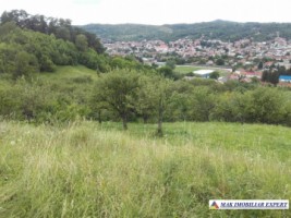 vand-teren-intravilan-5000-mp-flamanda-campulung-muscel-arges-ideal-pentru-dezvoltare-rezidentiala-sau-turistica-6