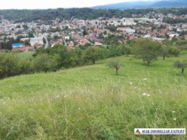 vand-teren-intravilan-5000-mp-flamanda-campulung-muscel-arges-ideal-pentru-dezvoltare-rezidentiala-sau-turistica-7