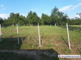 teren-intravilan-2500-mp-poienarii-de-muscel-arges-constructii-rezidentiale-pentru-o-resedinta-confortabila-1