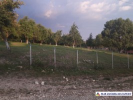 teren-intravilan-2500-mp-poienarii-de-muscel-arges-constructii-rezidentiale-pentru-o-resedinta-confortabila-4