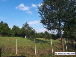 teren-intravilan-2500-mp-poienarii-de-muscel-arges-constructii-rezidentiale-pentru-o-resedinta-confortabila-3