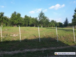 teren-intravilan-2500-mp-poienarii-de-muscel-arges-constructii-rezidentiale-pentru-o-resedinta-confortabila-5